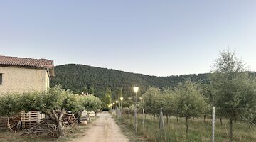 La Trufa Madre nueva Casa Rural Starlight en la Serrana de Cuenca