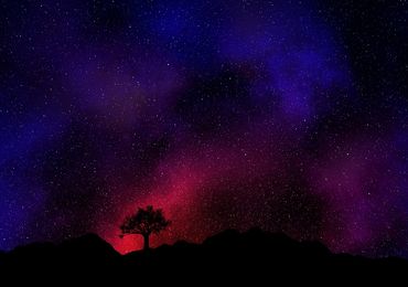 Bodegas Llanovid, primera Bodega Starlight