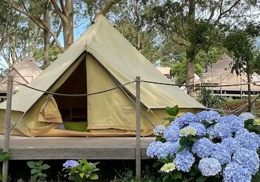 Naturaleza, océano y cielo en Camping Isla de Ons, el nuevo Campamento Starlight de Galicia