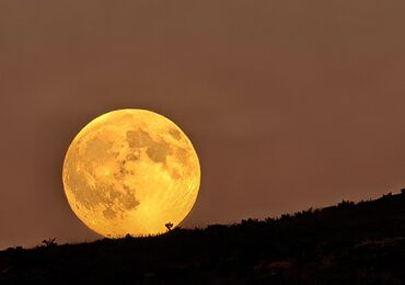 Naturaleza estrellas y sostenibilidad WorkNature obtiene la acreditacin como Empresa Starlight