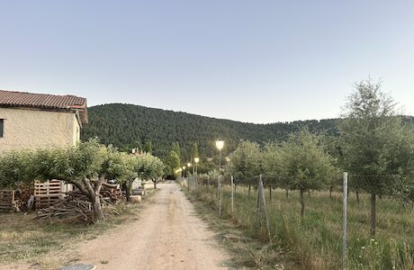 La Trufa Madre Castilla La Mancha 2025