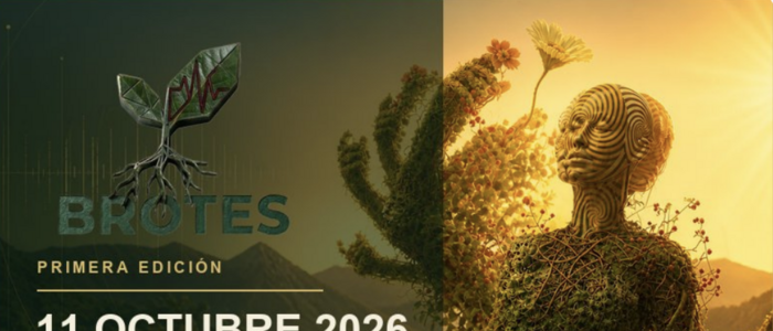 Festival Brotes