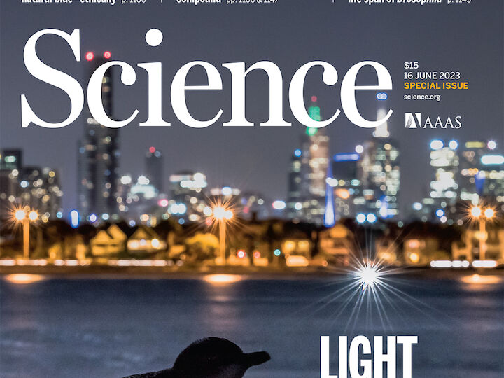 La revista Science publica un artículo de la directora de la Fundación Starlight sobre los efectos de la contaminación lumínica para la astronomía