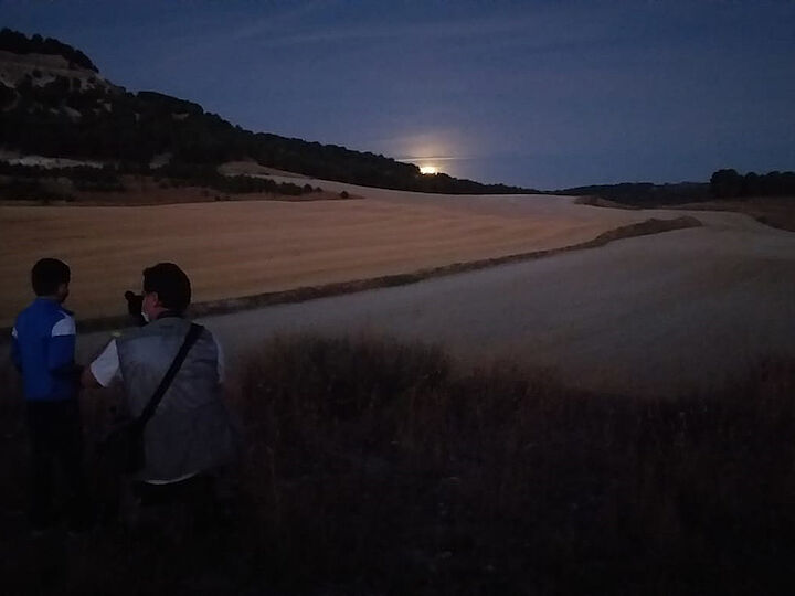 Buteo Iniciativas Ambientales