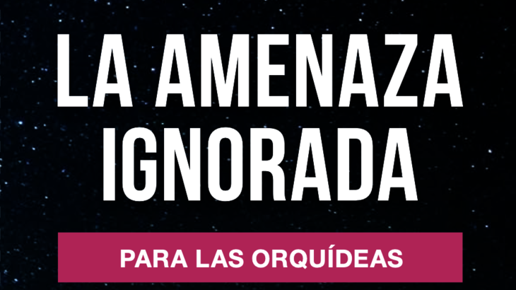 Folletos Contaminacin Lumnica y Biodiversidad y Salud Humana