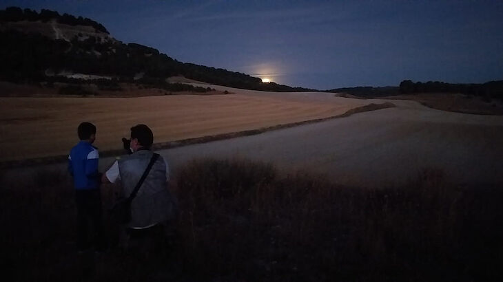 Buteo Iniciativas Ambientales