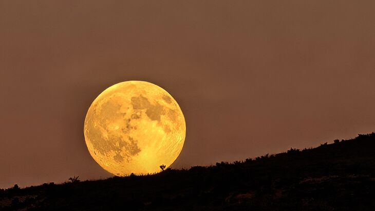 Naturaleza estrellas y sostenibilidad WorkNature obtiene la acreditacin como Empresa Starlight