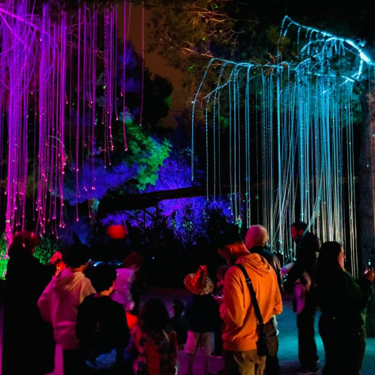 bibo park