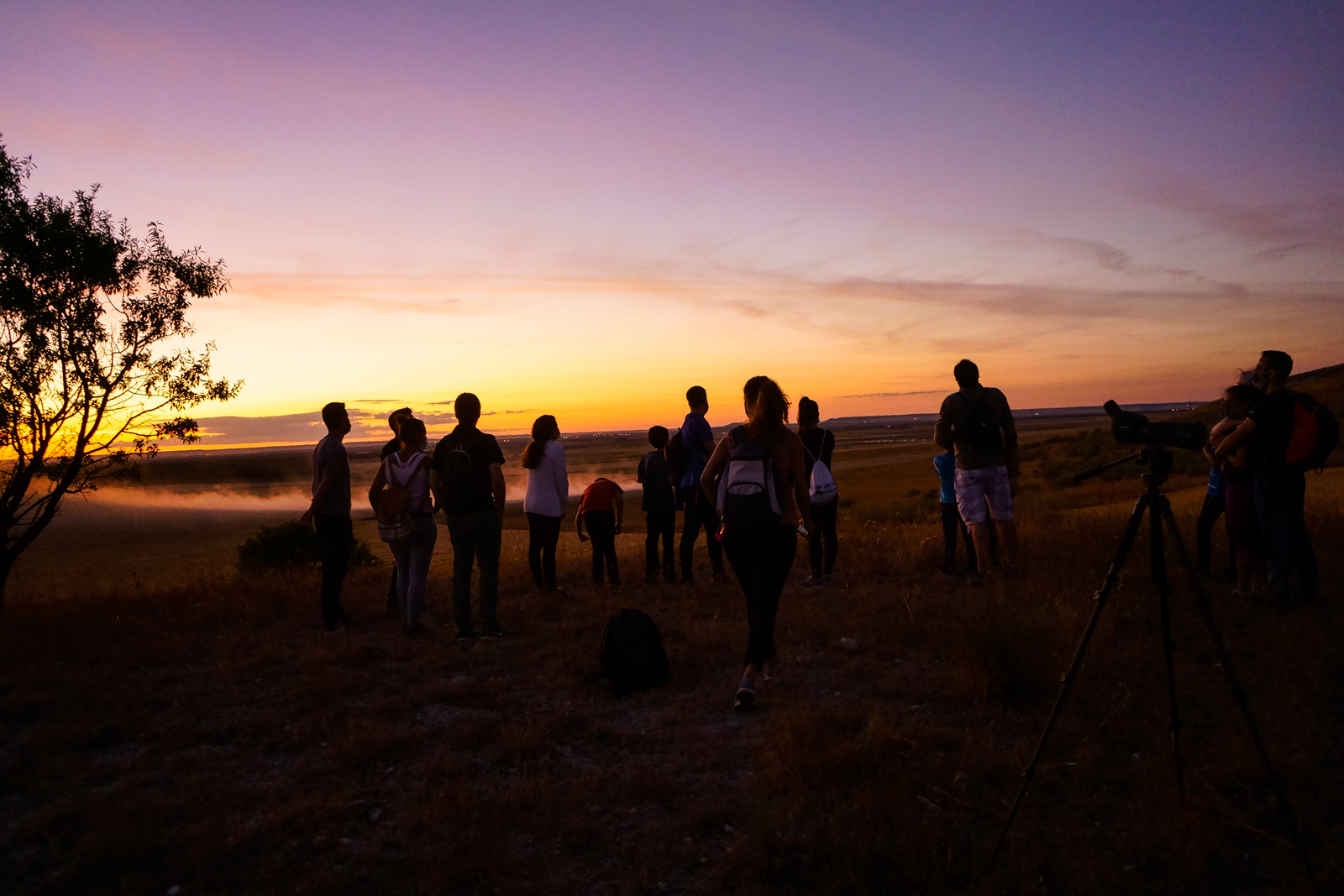 Buteo Iniciativas Ambientales