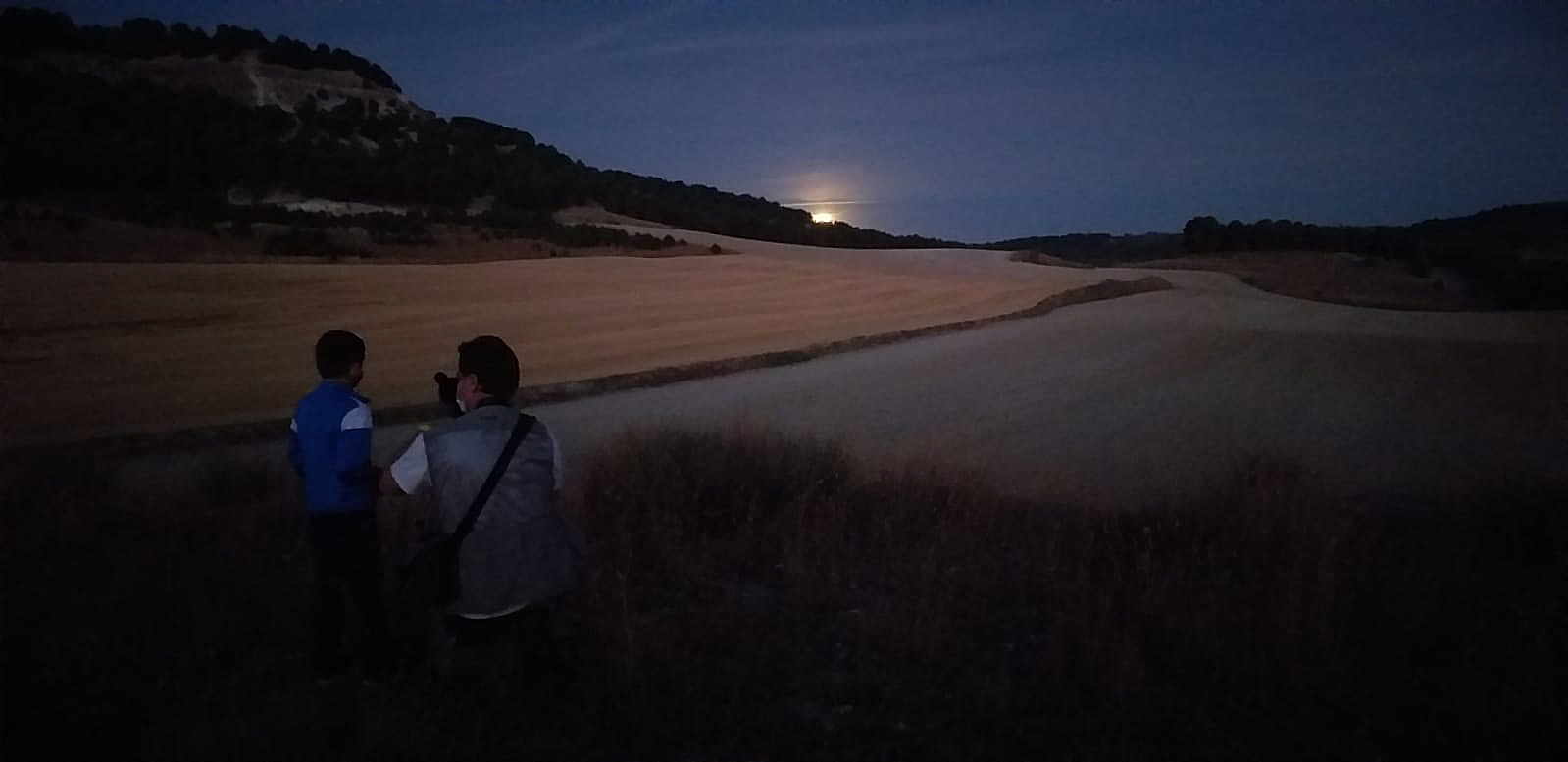 Buteo Iniciativas Ambientales