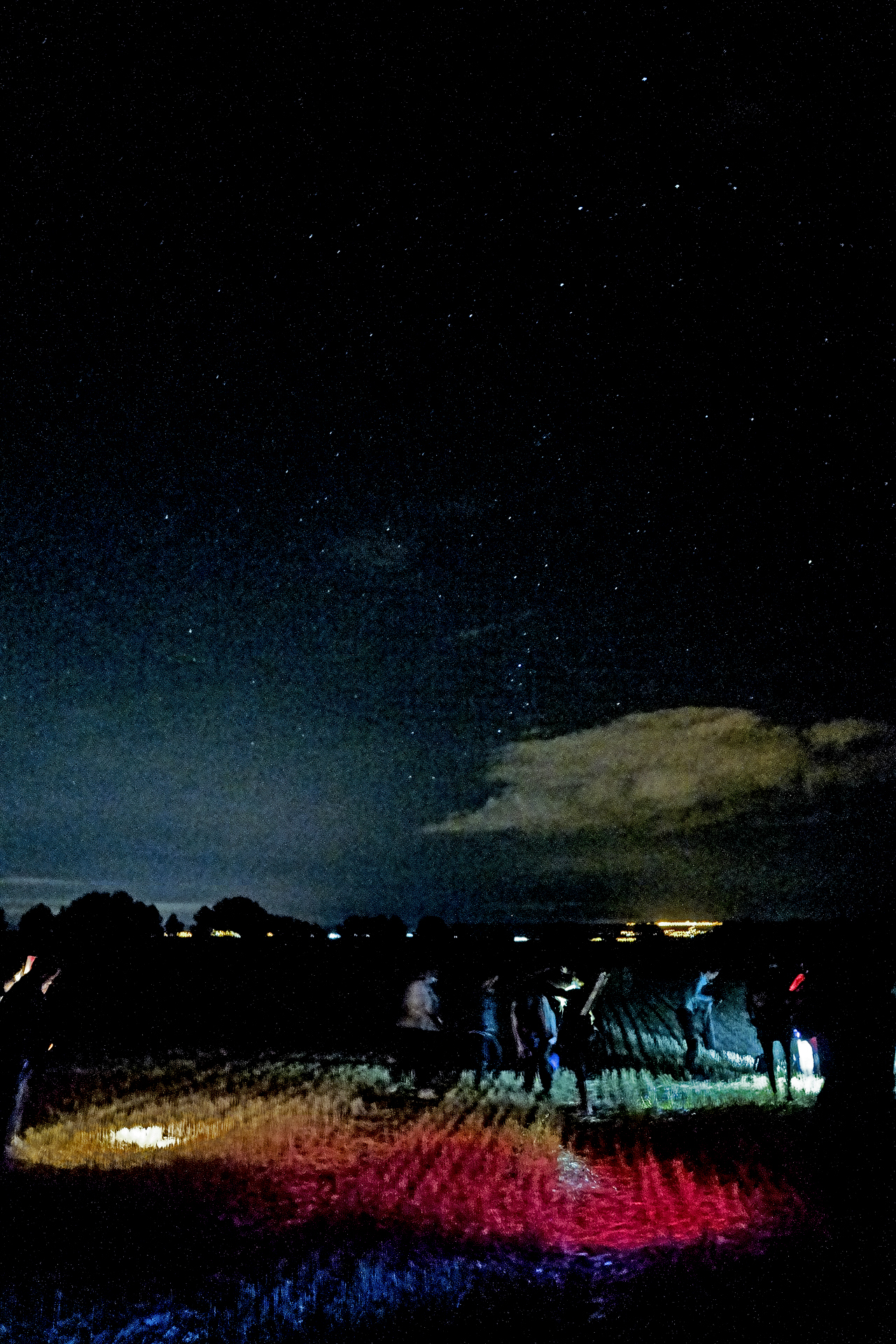 Buteo Iniciativas Ambientales